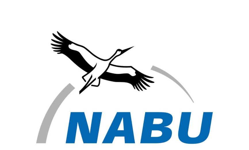 logo nabu
